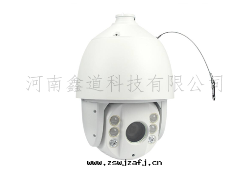 倉內(nèi)防熏蒸球机